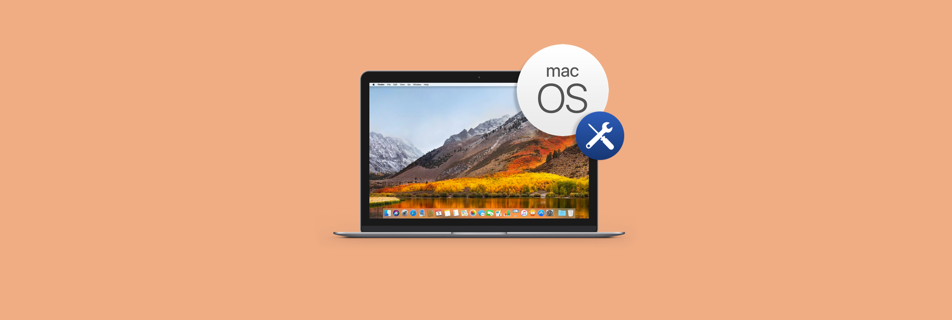 Office for mac 2011 compatible with sierra